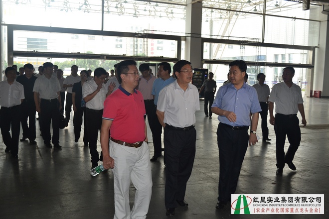 市人大常委会主任袁观清一行调研我司红星会展中心