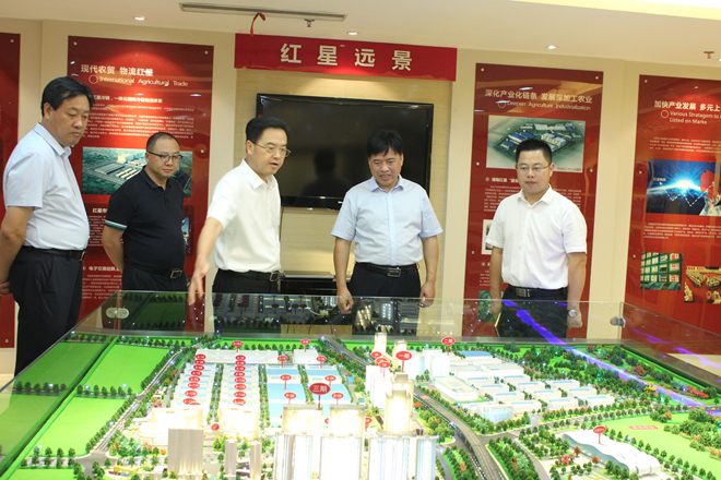 新疆生产建设兵团领导考察红星