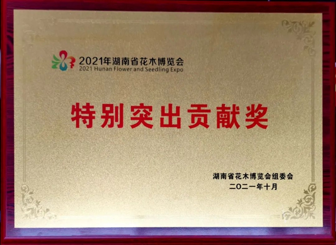 打造“农”字招牌 助推花木产业高质量发展