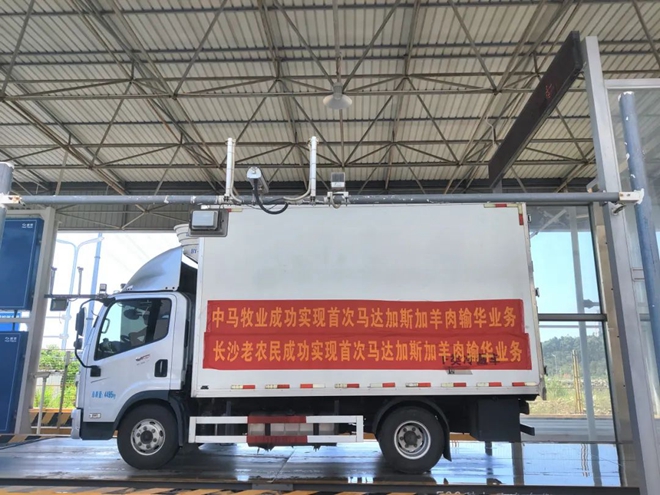 首批非洲羊肉运抵红星,新华社等主流媒体争相报道 (2).jpg