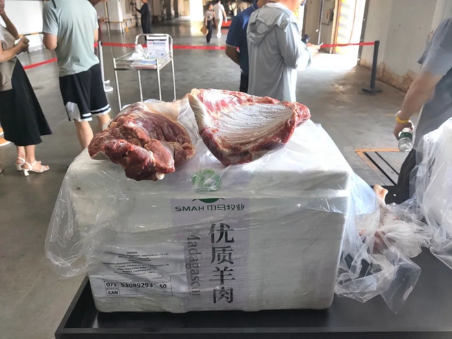 首批非洲羊肉运抵红星,新华社等主流媒体争相报道 (5).jpg