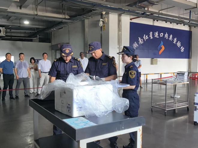 首批非洲羊肉运抵红星,新华社等主流媒体争相报道 (1).jpg